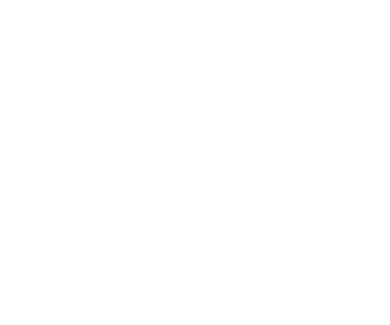 Bolt Energy Solutions